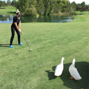 natalie-gulbis-ducks-1026-instagrams