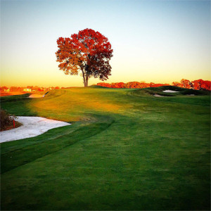 Shorehaven-CC-11-09-instagrams