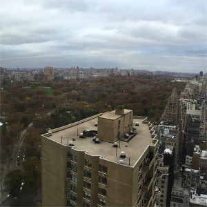 central-park-11-23-instagrams