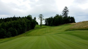 PANORAMA GOLF RESORT - Green a fairway šesté jamky hřiště Forest.