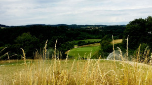 PANORAMA GOLF RESORT - Šestka hřiště Meadows s greenem za hlubokou propastí bude velkým oříškem.