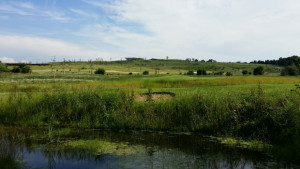 PANORAMA GOLF RESORT - Everglades - mokřady na třetí jamce hřiště River.