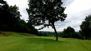 PANORAMA GOLF RESORT - Fairway osmé jamky dělí na dvě poloviny vzrostlý strom.