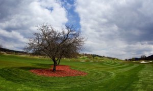 Blíží se velké FINÁLE GOLF DIGEST Open Tour v Berouně