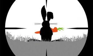 FLASHBACK: Konec králíků okusujících salát