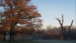 Nejsvobodnější golf, jaký můžete zažít