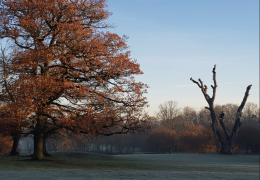 Nejsvobodnější golf, jaký můžete zažít