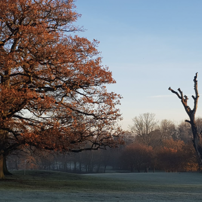 Nejsvobodnější golf, jaký můžete zažít