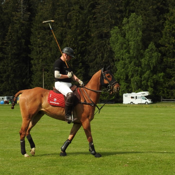 Royal Golf & Polo Cup 2019