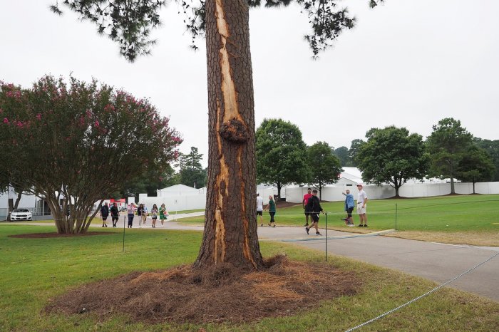 Tour Championship: Brutální počasí přerušilo třetí kolo, blesk zranil šest lidí