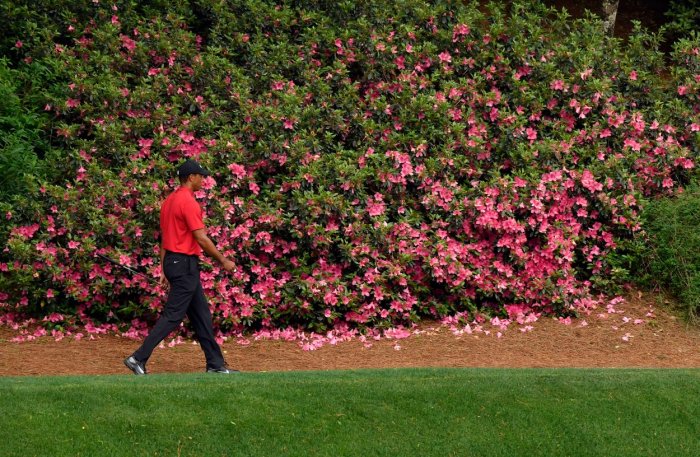 Přeloženo bylo kvůli šíření koronaviru i The Masters