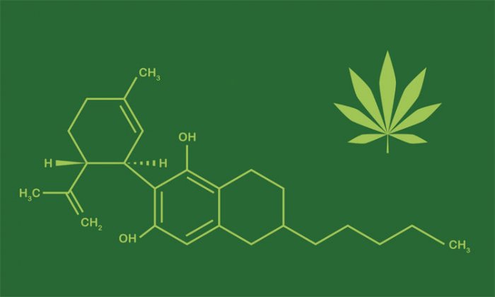 CBD: Tráva mýtů zbavená. Kouzelný lektvar, nebo jen placebo efekt?