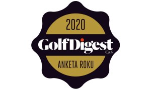 ANKETA ROKU 2020: ŘEKNI MI, ZRCADLO…